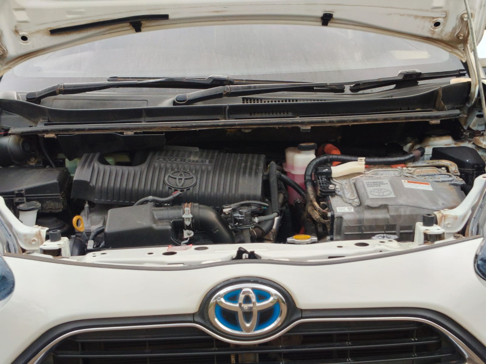 Vehicle Detail
